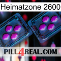 Home Zone 2600 03